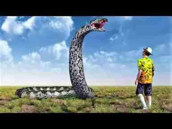 Video of 15 Giant Prehistoric Animals That Weren